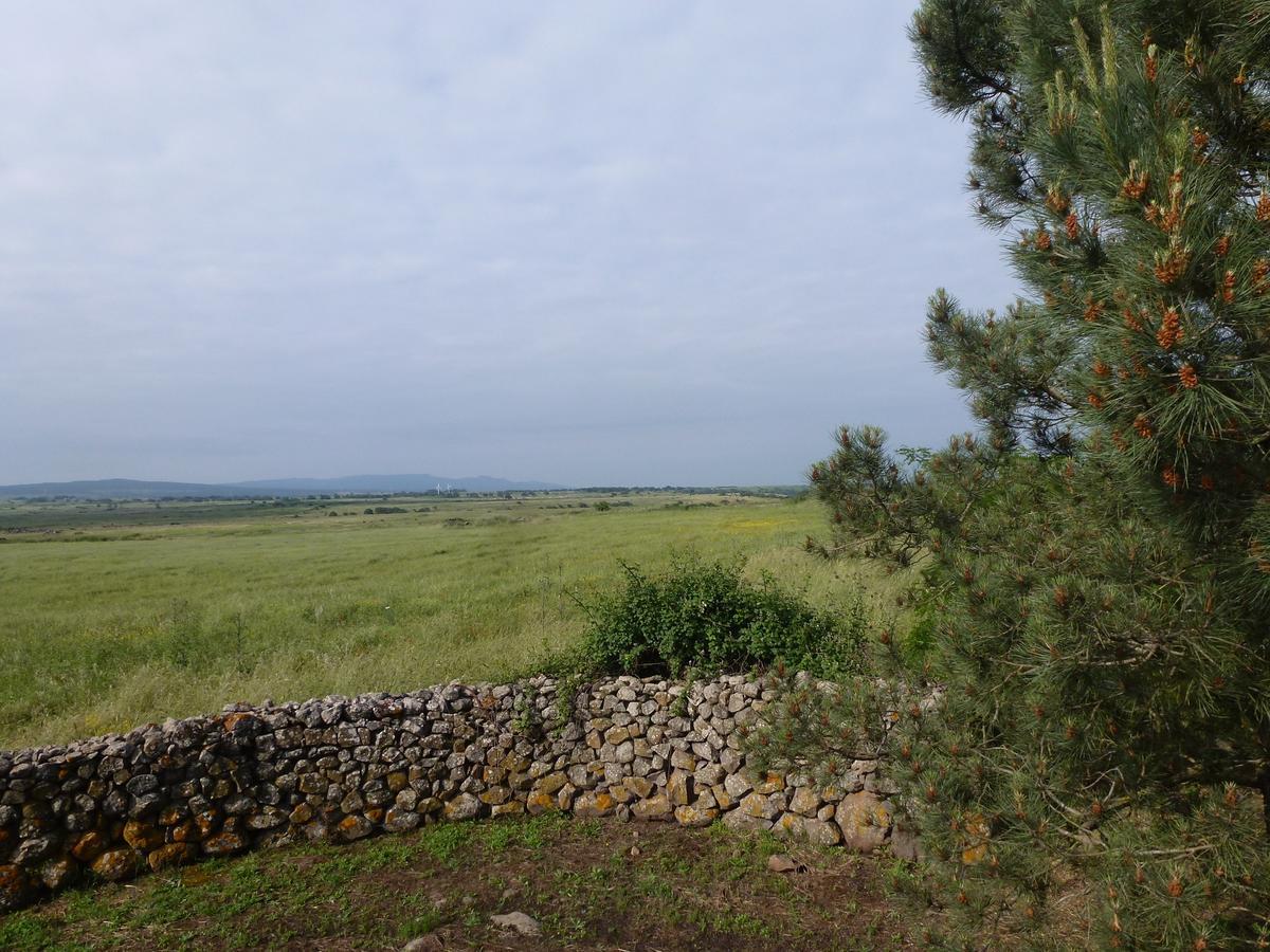 Agriturismo Nuragh'Elighe Sindia Dış mekan fotoğraf