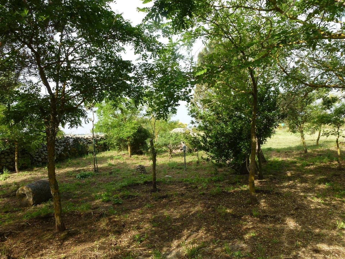 Agriturismo Nuragh'Elighe Sindia Dış mekan fotoğraf