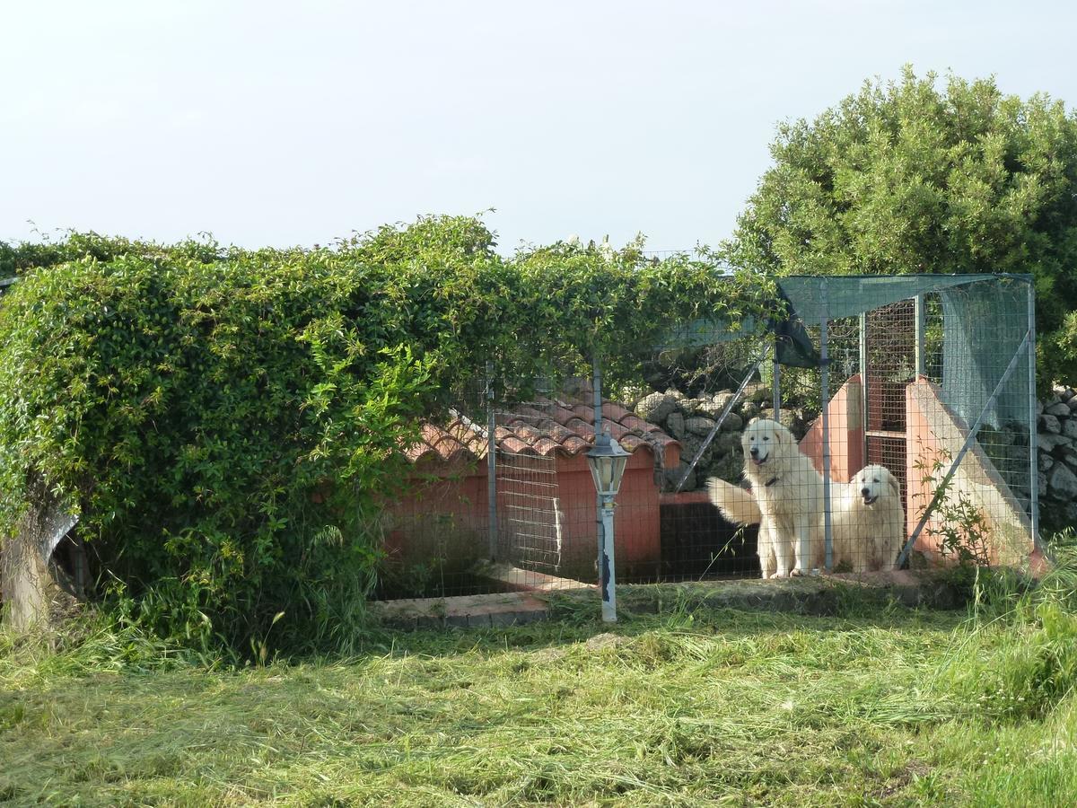 Agriturismo Nuragh'Elighe Sindia Dış mekan fotoğraf