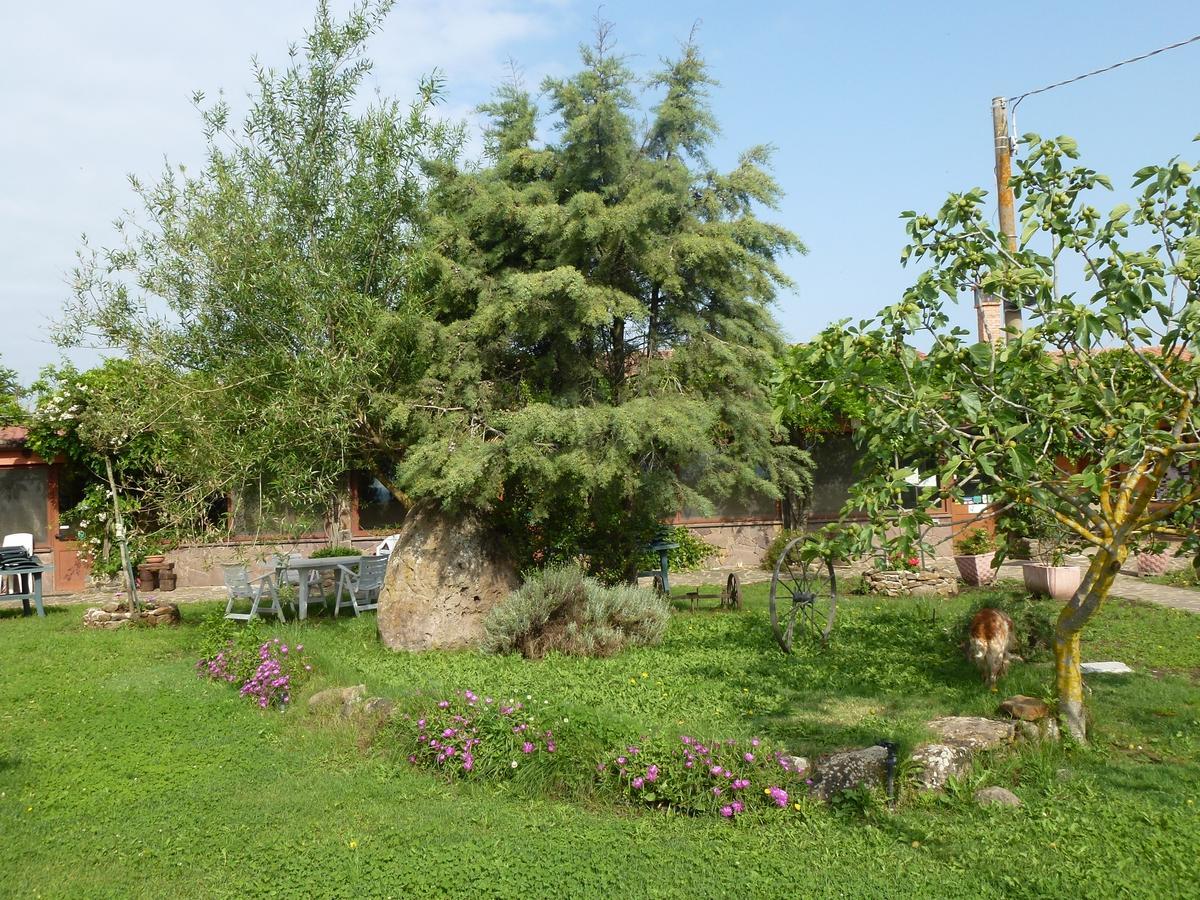 Agriturismo Nuragh'Elighe Sindia Dış mekan fotoğraf